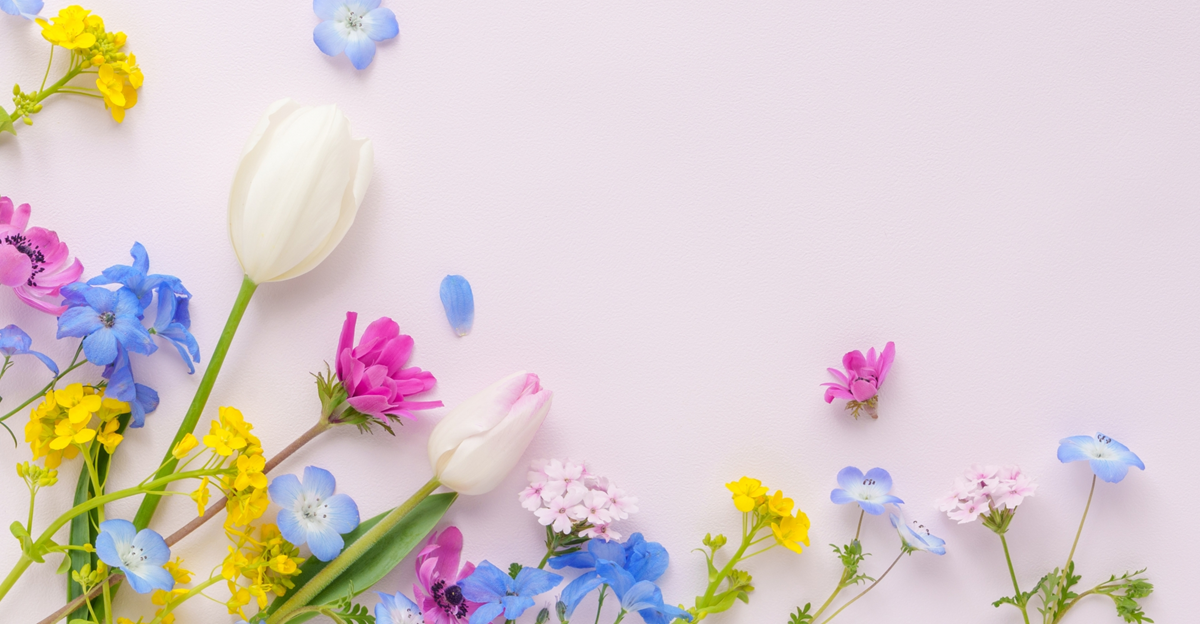 3月・4月の診療時間変更のお知らせ